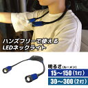 USB STYLE LEDネックライト ツインアイズ シグネット SIGNET 96076