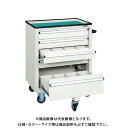 【送料別途】【直送品】サカエ キャビネットワゴン SS-DBGY
