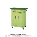 【送料別途】【直送品】サカエ SAKAE パネルワゴン天板付 サカエリューム天板 750×500×900 サカエグリーン PMW-7ANT
