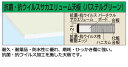 【送料別途】【直送品】サカエ SAKAE 軽量用天板 (抗菌・抗ウイルス天板) W900×D600×H21 パステルグリーン KK-9060VFTCG その1