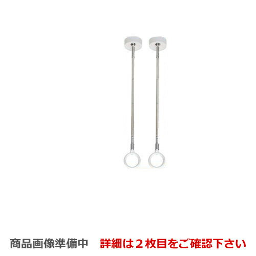 【送料無料】 [SPD-W]川口技研 室内用高級物干金物 室内干しユニット 天井付けスポットタイプ ホスクリーン SPD型 標準サイズ2本セット※ホスクリーン単体の取付工事はお受けできません