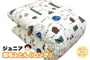 【羽毛】ジュニア羽毛ふとん【カバー付きセット】【ロングサイズ】【日本製】