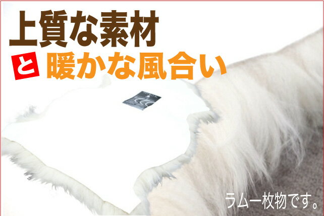 ��Hatchi�ۥ�����ʪ�ޥåȡ��դ�դ��ͥ����ȩ����