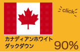 【パルス】羽毛肌掛布団 カナディアンホワイトダックダウン90％【シャンロードシリ...