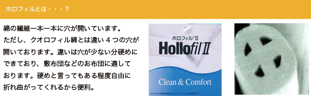 【パルス】ホロフィル2 ベッドパット【シャンロードシリーズ】キング [2]