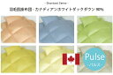 【パルス】羽毛肌掛布団 カナディアンホワイトダックダウン90%【シャンロードシリーズ】 ダブル