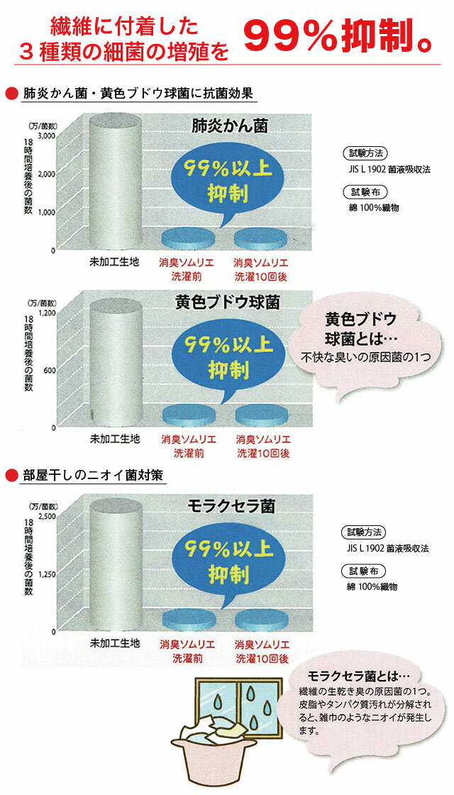 �ھý�����ꥨR2S�۷���2�������ġڥ��󥰥���󥰡� �������� ����ӥ��� �ý� ���� ������