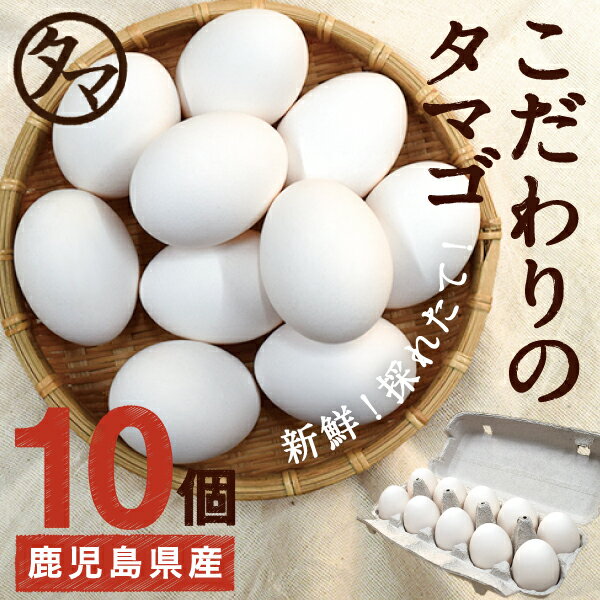 【九州 たまご】こだわり新鮮なとろ〜りたまご10個品質・衛生すべて管理された安心・安全なたまご鹿児島 ...