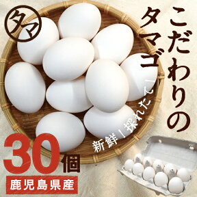 【送料無料】九州育ちの絶品たまご30個こだわり新鮮なとろ〜りたまご品質・衛生すべて管理された安心・安全なたまご【生卵/タマゴ/たまご】|南九州産 お取り寄せ おとりよせ 国産 玉子 ギフト 贈り物 喜ばれる お祝い 還暦祝い 父母 お土産 誕生日プレゼント