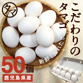 【送料無料】九州育ちの絶品たまご50個こだわり新鮮なとろ〜りたまご品質・衛生すべて管理された安心・安全なたまごビタミンEは一般卵のなんと10倍の美味しく栄養もたっぷり♪【生卵/タマゴ/たまご】