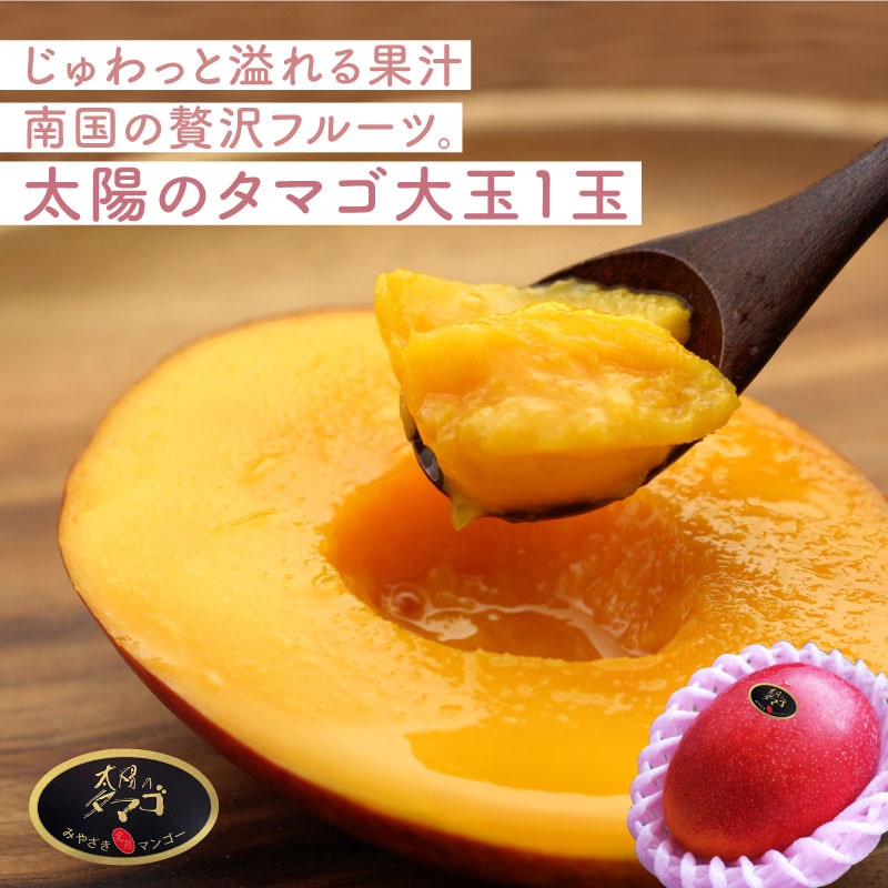 【遅れてごめんね】太陽のタマゴ大玉1玉（2L）送料無料 メッセージカード付き 箱入り ギフトボックスは不要最高級フルーツ宮崎の厳しい基準を乗り越えた『香り・色艶・糖度』全てがプレミアムの宮崎完熟マンゴー宮崎マンゴー 高級 フルーツ 果物 ギフト お取り寄せのサムネイル
