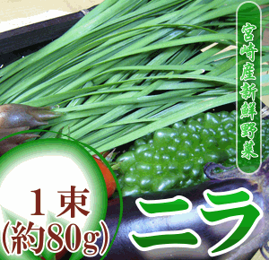 全国お取り寄せグルメ宮崎野菜・きのこNo.4