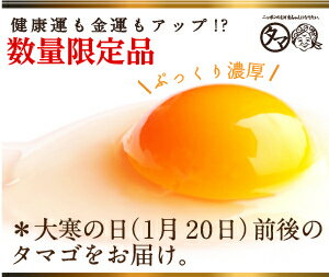 ご予約開始！【送料無料】大寒たまご30個(縁起卵)(宮崎県・鹿児島県産2019年)大寒の日前後に生まれた滋養に富んだ、風水でも金運UPと言われる縁起物のタマゴを数量限定販売！品質・衛生すべて管理された安心・安全たまご