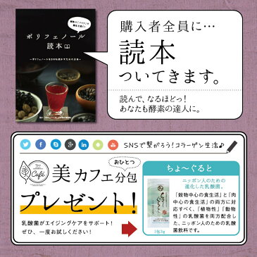 【送料無料】植物の力！いのちのワイン100,000mg贅沢18種類のポリフェノールカラダに届けたいレスベラトロール リコピンアントシアニン カテキン ルテインなどの力を1杯に|ファイトケミカル スーパーフード 美粉屋 エイジングケア ノンアルコール 健康食品