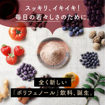 美粉屋いのちのワイン 100,000mg 送料無料贅沢18種類のポリフェノールカラダに届けたいレスベラトロール リコピンアントシアニン カテキン ルテインなどの力を1杯に|ファイトケミカル スーパーフード エイジングケア ノンアルコール ポリフェノール パウダー