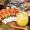 酵素ドリンク 美粉屋みらいのこうそ 分包タイプ(3g×30包入り) レモン味 送料無料 乳酸菌と酵母で発酵させた砂糖不使用の酵素パウダー。携帯用 持ち運び 個包...