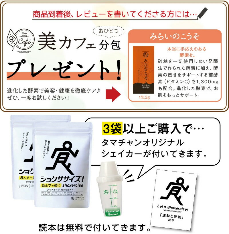 【送料無料】進化したスポーツ飲料「ショクササイズ」スポーツはもちろん、日常の動きを「食」で内側から活かそう！食品屋さんがつくった砂糖不使用のスポーツドリンククエン酸×BCAA(ノンカフェイン) あす楽