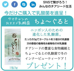 【送料無料】進化したチアシード(ホワイトチアシード)200g10年以上の歳月をかけ進化した米国やハリウッドセレブの間でバジルシードと2大流行の栄養価に優れたスーパーフード サルバチア|農薬不使用 無添加 ホワイト 健康食品 美容