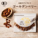 【送料無料】有機ゴールデンベリー1kg（250g×4袋）美容と健康のスーパーフードとして注目を集めるゴールデンベリーフルーティーな独特の香りと食感で、甘酸っぱくグミのような食感が人気のドライフルーツ(