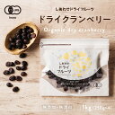 おきなわ薬膳美人 無添加 クランベリー 80g×23P アメリカ産 ドライクランベリー