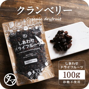 【お試し100g】ドライ クランベリー(100g/カナダ・アメリカ産)有機栽培のクランベリーを使用。ポリフェノールが豊富で健康と美容に嬉しい栄養たっぷり|ドライフルーツ 砂糖不使用 くらんべりー ジャム ジュース 食品 果物 スイーツ フルーツ 小分け cranberry