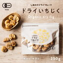 オーガニック有機いちじく250g 送料