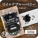 【送料無料】ワイルドブルーベリ500g（250g×2袋）(アメリカ産)ポリフェノール豊富な野生種ブルーベリー|ドライフルーツ ぶるーべりー ベリー ジャム シロップ ドライ 食品 果物 スイーツ フルーツ ルテイン アントシアニン 小分け blueberry dryfrui