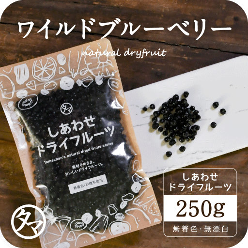 【送料無料】ワイルドブルーベリー(250g/アメリカ産/無添加)ポリフェノール豊富な野生種ブルーベリー|ドライフルーツ Natural dry blueberry