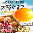 ご予約開始！【送料無料】大寒たまご30個(縁起卵)(宮崎県・鹿児島県産2020年)大寒の日前後に生まれた滋養に富んだ、風水でも金運UPと言われる縁起物のタマゴを数量限定販売！品質・衛生すべて管理された安心・安全たまご