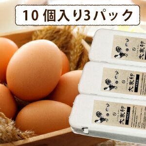 ご予約開始！【送料無料】大寒たまご30個(縁起卵)(宮崎県・鹿児島県産2019年)大寒の日前後に生まれた滋養に富んだ、風水でも金運UPと言われる縁起物のタマゴを数量限定販売！品質・衛生すべて管理された安心・安全たまご