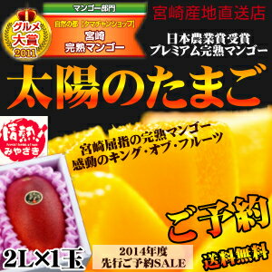 【送料無料】太陽のタマゴ(大玉1玉)最高級フルーツ宮崎の厳しい基準を乗り…