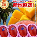 【送料無料】宮崎完熟マンゴー大玉4玉宮崎からお届けする南国の香り・とろける美味しさがいっぱいの完熟マンゴー地元宮崎だからこそできる鮮度&激安でお届け致します【宮崎マンゴー】【お中元 青果物 フルーツギフト】 プレゼント 母の日