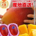 【送料無料】特大宮崎完熟マンゴー2玉 特大玉宮崎からお届けする南国の香り・とろける美味しさがいっぱいの完熟マンゴー地元宮崎だからこそできる鮮度&激安でお届け致し...