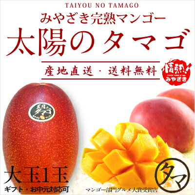 【送料無料】太陽のタマゴ(大玉2L・1玉)最高級フルーツ宮崎の厳しい基準を乗り越えた『香り・色艶・糖度』全てがプレ…