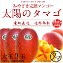 【送料無料】太陽のタマゴ(大玉2L・3玉)最高級フルーツ宮崎の厳しい基準を乗り越えた『香り・色艶・糖度』全てがプレミアムの宮崎完熟マンゴー【宮崎マンゴー】【太陽...