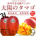 【送料無料】太陽のタマゴ(特大玉2玉)最高級フルーツ宮崎の厳しい基準を乗り越えた『香り・色艶・糖度』全てが最高のプレミアム宮崎完熟マンゴー【専用箱付・熨斗・包装無料】宮崎マンゴー 完熟マンゴー 果物 お中元 ギフト お取り寄せグルメ 母の日