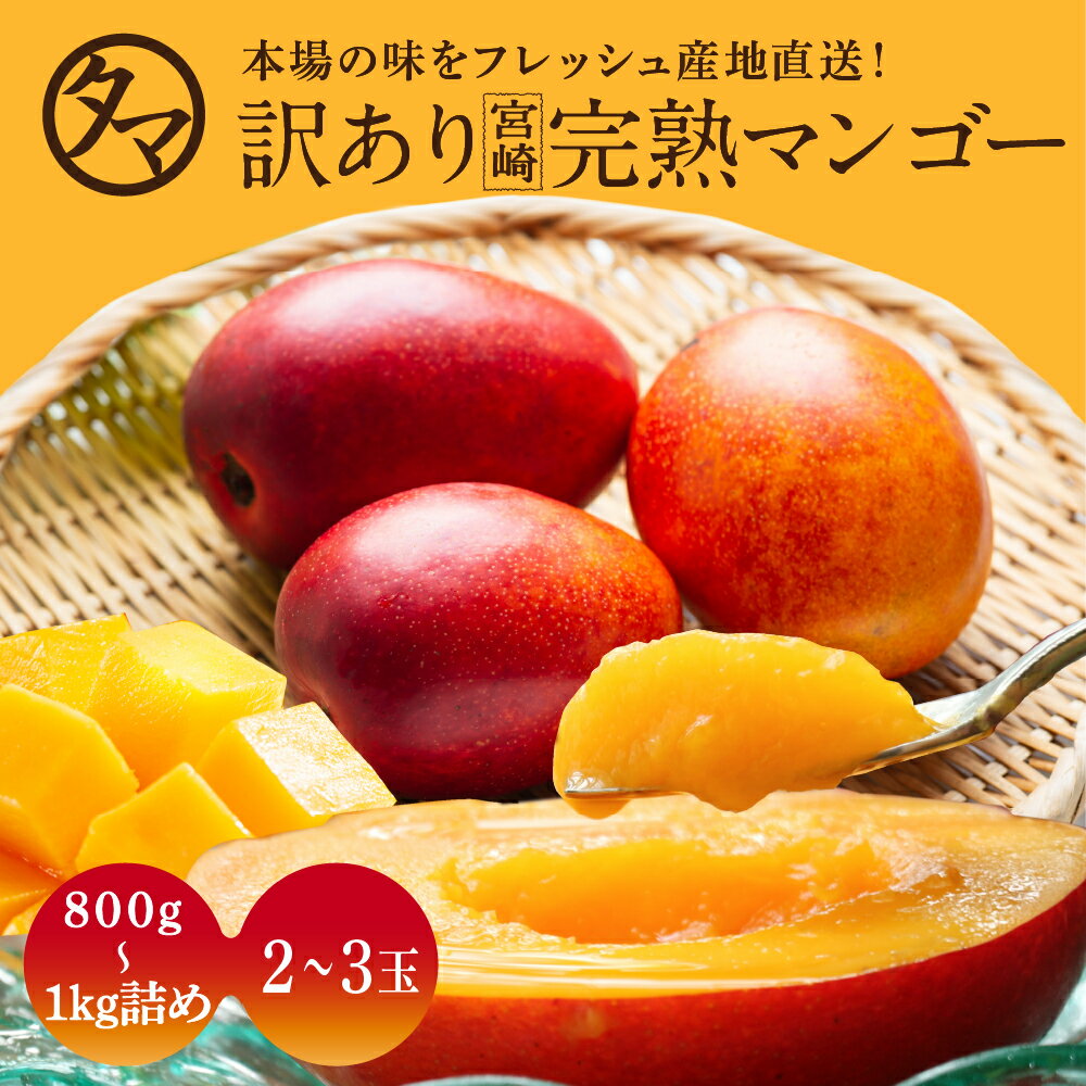 【宮崎県のお土産】フルーツ・果物