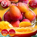 【送料無料】お得な訳あり宮崎完熟マンゴーメガ盛り5kg詰め(訳あり)正規品より安くで味わえるギフト外の訳あり宮崎完熟マンゴー味は絶品!【訳あり 宮崎 完熟 マン...