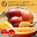【送料無料】お得な訳あり宮崎完熟マンゴー味わえる惜しくもギフト外の訳あり宮崎完熟マンゴーどっしり900〜1000g詰め見た目ちょいわるでも味は絶品!もったいない...