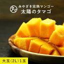 【送料無料】太陽のタマゴ(大玉2L・1玉)最高級フルーツ宮崎の厳しい基準を乗り越えた『香り・色艶・糖度』全てがプレミアムの宮崎完熟マンゴー宮崎マンゴー 完熟マン...
