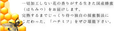 【送料無料】国産みかん蜂蜜(はちみつ) 1KG標高450mの福岡県でも有名な名水が湧く飛形山のみかん畑で採蜜した風味豊かな薫る贅沢なみかん蜂蜜【九州 蜂蜜】【かの蜂蜜】【国産蜂蜜 はちみつ 1kg】Japan natural Haney