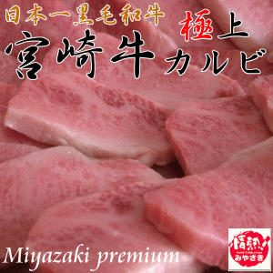 日本一宮崎牛の最高級極上カルビ 800g(8〜10人前)【個数限定】まさに芸術品そのもの！厳選された宮崎牛1頭からわずか5kgしかとれない幻のカルビ♪ミリ単位の霜降りはまさに芸術これぞ宮崎が誇る2007年全国和牛の頂点に立った絶品の宮崎牛です