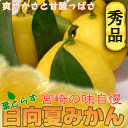 【送料無料】宮崎産日向夏みかん11〜13玉入り【種無し】爽やかな香りとほんのり甘酸っぱい美味しさが特徴の宮崎を代表する柑橘の果実♪その中でも厳選された美味しさの...
