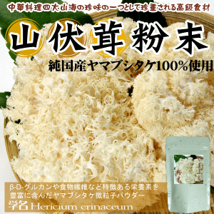 【送料無料】山伏茸粉末(60g)考える力の栄養源として認められたヤマブシタケには、このきのこしか持たない特有の栄養素は全食品のなかでもトップクラスといわれる程、非常に注目される高級食材です【やまぶしたけ】【ヤマブシタケ】【国産山伏茸】