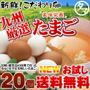 【送料無料】九州育ちのこだわりたまご宮崎・鹿児島のこだわり健康元気たまごと霧島山麓たまごのお試しセッ ...