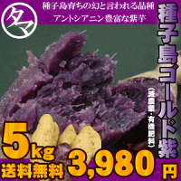 カテゴリトップ 南九州の美味しい野菜 安納芋・紫芋・サツマイモお取り寄せ