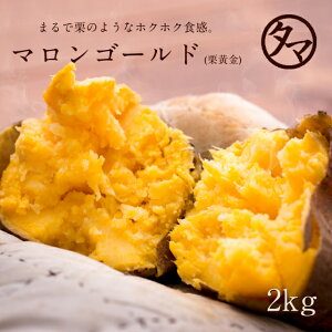 【送料無料】鹿児島産栗黄金芋 (くりこがね)2kg幻となりつつある白サツマイモ♪芋焼酎ブームで最近では滅多にお目にかかれなくなった白色のお芋|南九州産 やさい お取り寄せ 九州野菜 国産 ギフト 贈り物 喜ばれる お祝い 還暦祝い お土産 プレゼント マロンゴールド