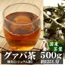 国産グァバ茶(シジュウム茶)宮崎産500g入り(約50日分)〜自然の香りをそのままに〜(グァバ シジュウム)|健康茶 お茶 健康飲料 健康食品 女性 プレゼント ギフト 美容 自然食品 美容ドリンク 自然派 おちゃ 美容茶 送料無料