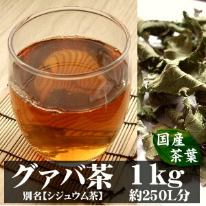 【送料無料】グァバ茶(シジュウム茶)宮崎産1kg入り(約100日分)〜自然の香りをそのままに〜【完全無添加・無着色・国産茶葉】(グァバ　シジュウム)