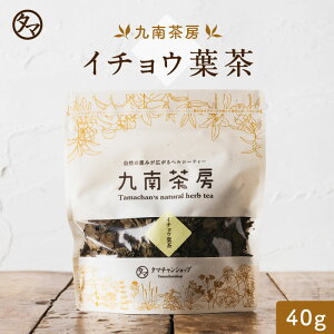 【送料無料】イチョウ葉茶 40g毎日の【健康維持】【美容】におススメの健康茶！！九南茶房